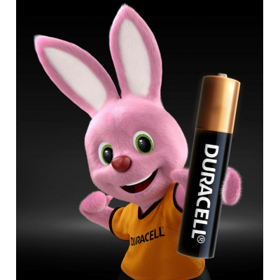 duracell-aaa-aa_1667097794-aa41800627a21b6634bc08b9fe2a304a.jpg