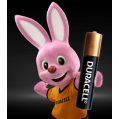 duracell-aaa-aa_1667099455-e4257c2330fde84acefca9f027858e7f.jpg